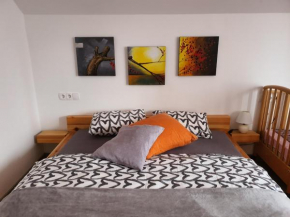 Apartmaji Daniel Kranjska Gora